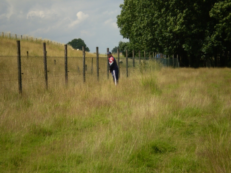 Lith 2008 (40)